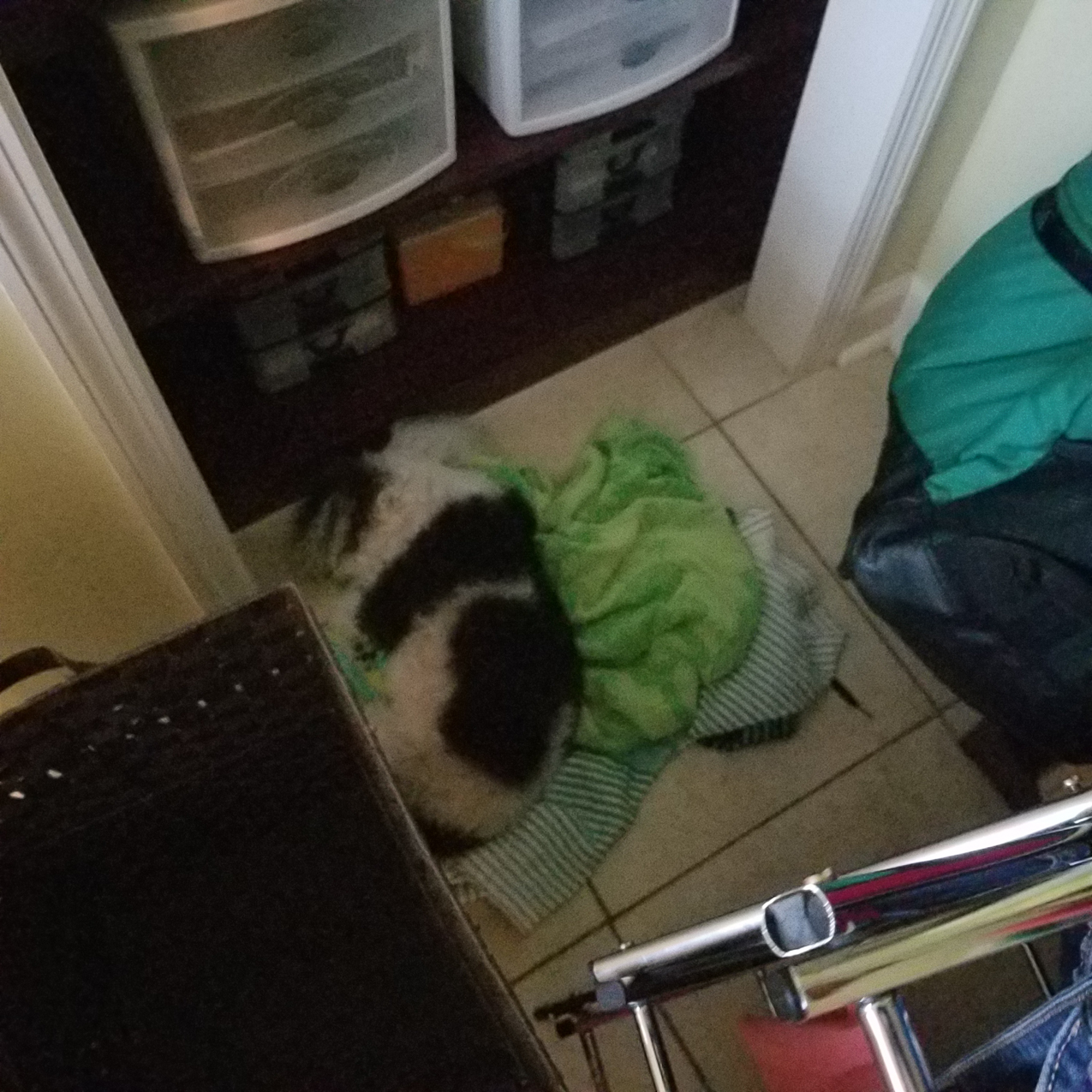 The Keeks keeps us busy  ~~  