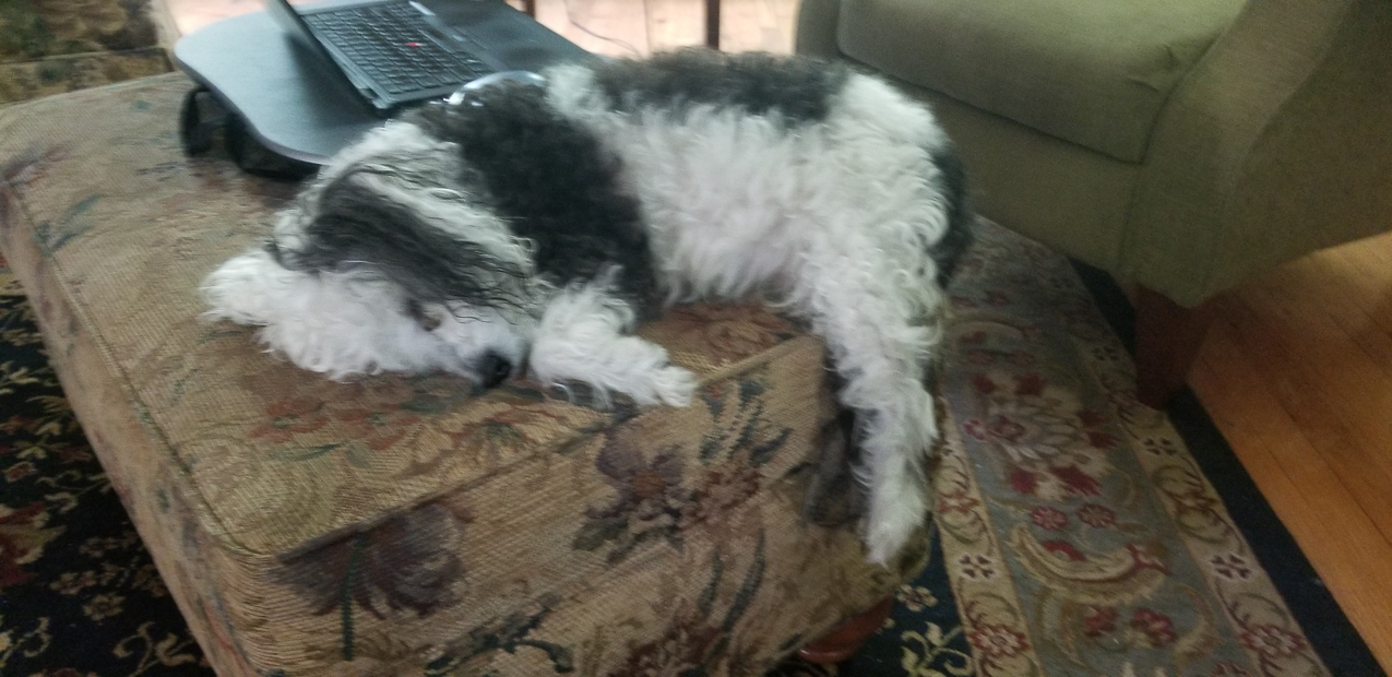 Da Keeks really hits it hard on a little nappy.  ~~  