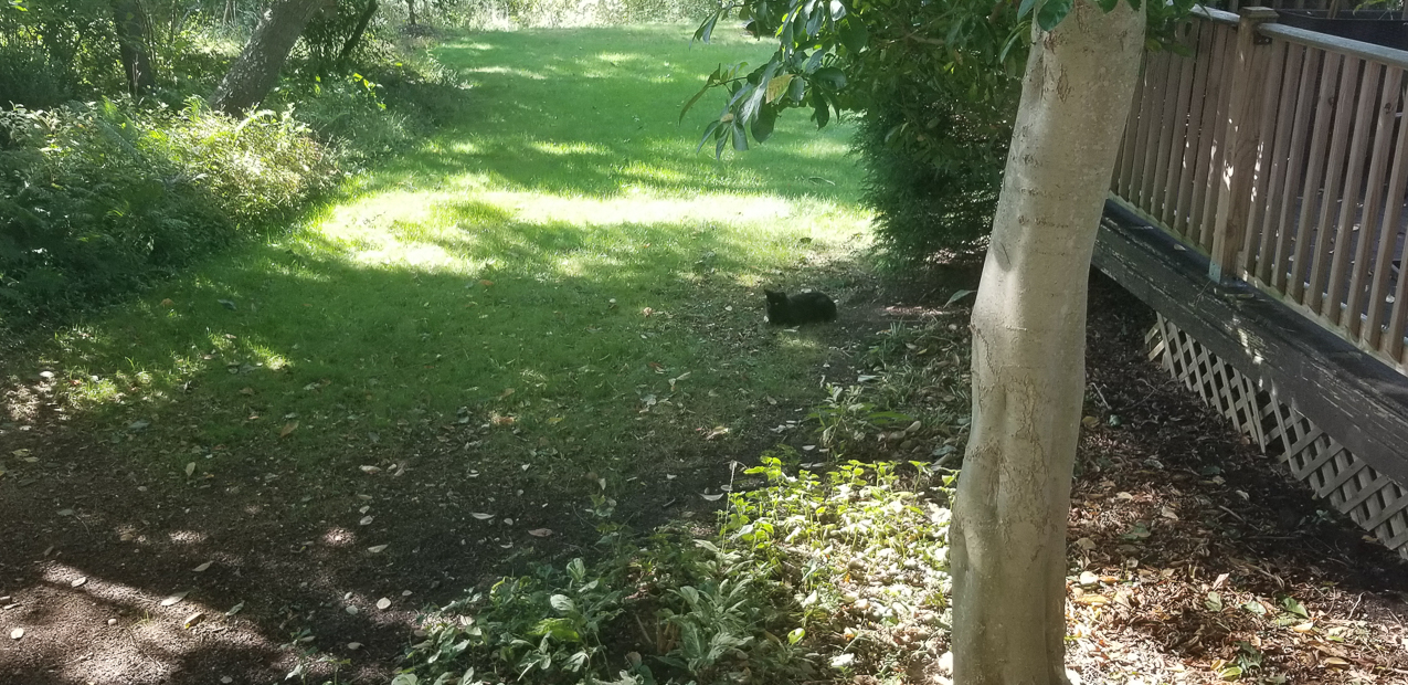 Rover waiting on a snack likley!!!!  ~~  