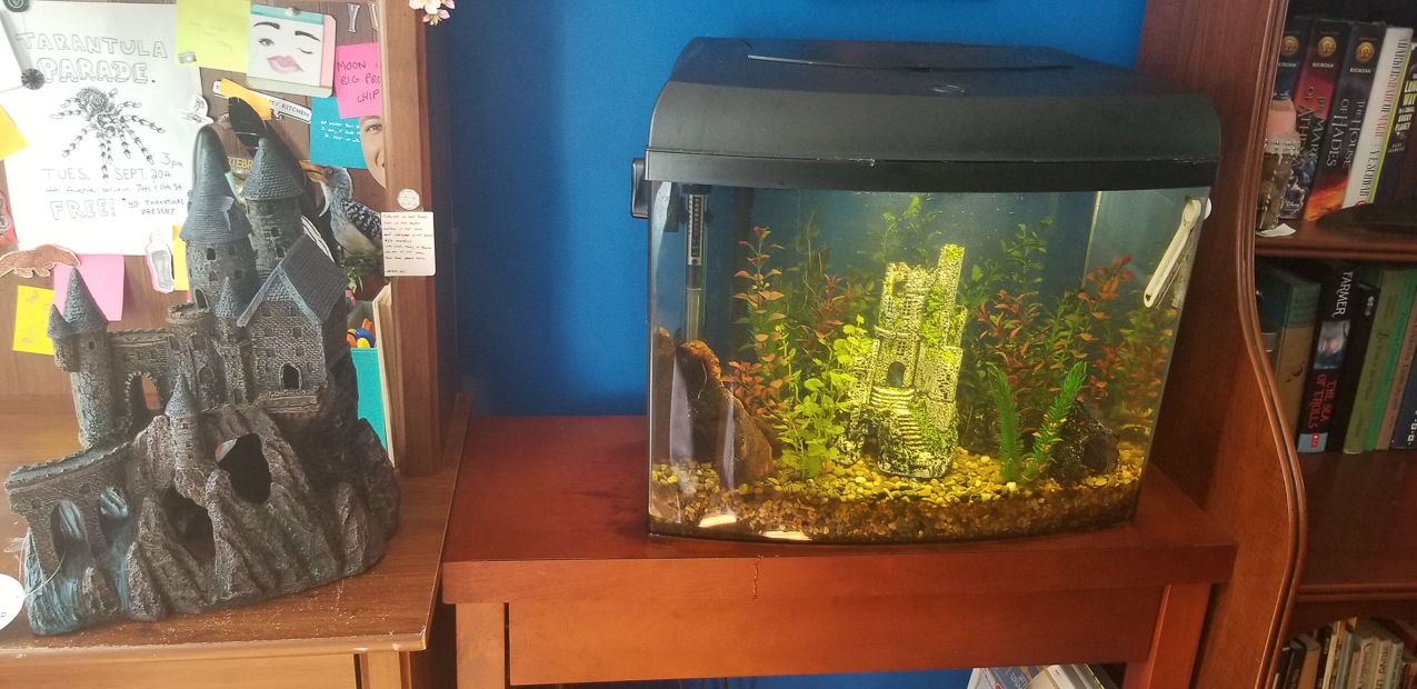 King Kornelious and his Castle   ~~  