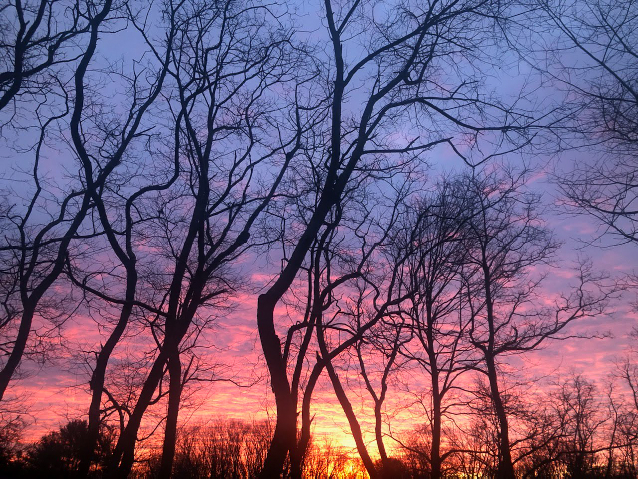 Morning at the Lynch Shack December 2019  ~~  