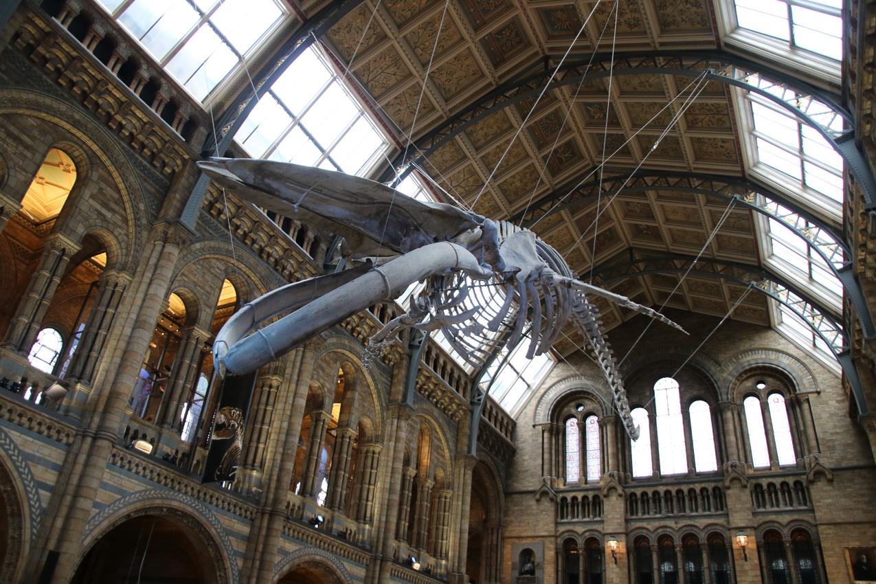   ~~  2020 Trip to London England, Stonehenge, Bath, Windsor, and Mary at Arcadia Univeristy Abroad