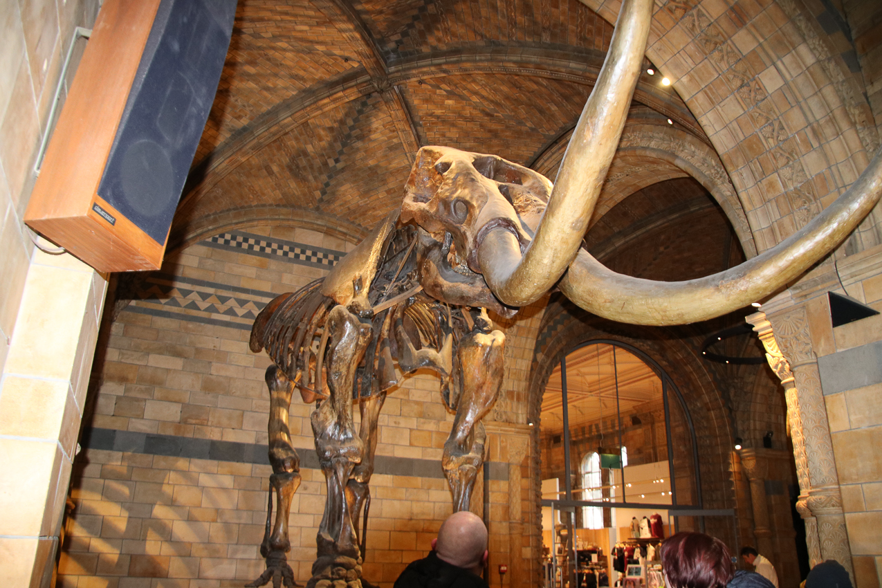   ~~  2020 Trip to London England, Stonehenge, Bath, Windsor, and Mary at Arcadia Univeristy Abroad