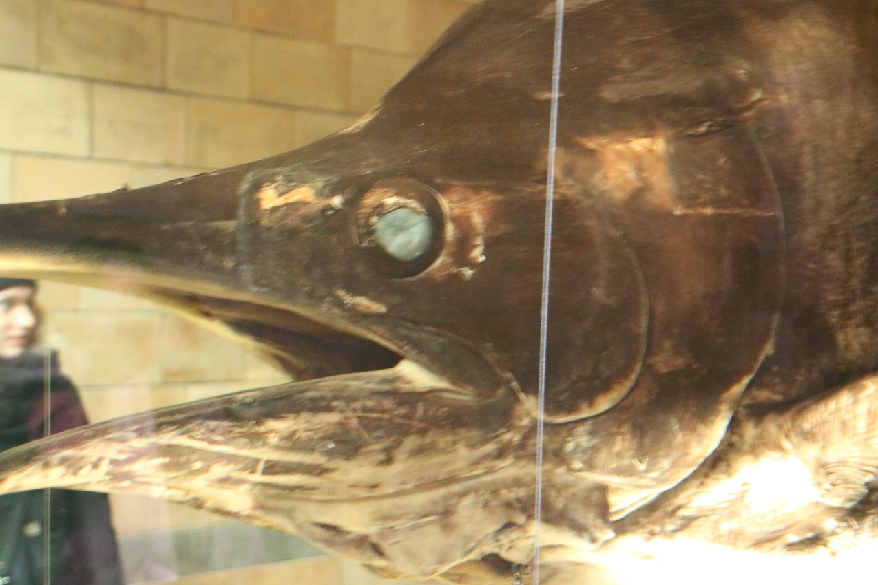   ~~  2020 Trip to London England, Stonehenge, Bath, Windsor, and Mary at Arcadia Univeristy Abroad