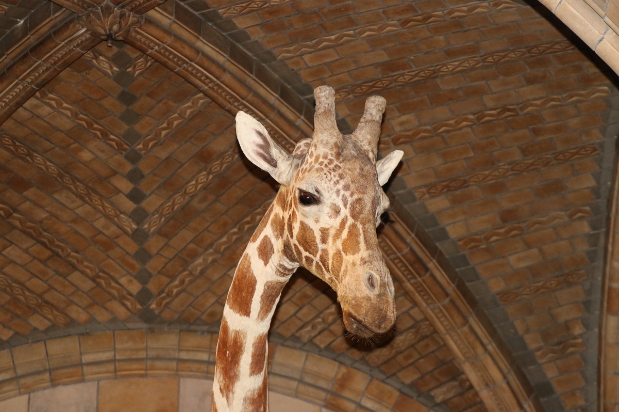   ~~  2020 Trip to London England, Stonehenge, Bath, Windsor, and Mary at Arcadia Univeristy Abroad