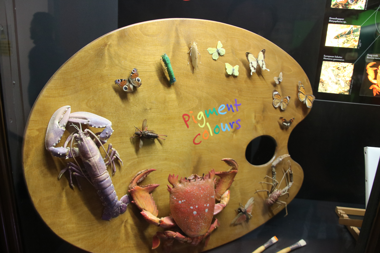   ~~  2020 Trip to London England, Stonehenge, Bath, Windsor, and Mary at Arcadia Univeristy Abroad