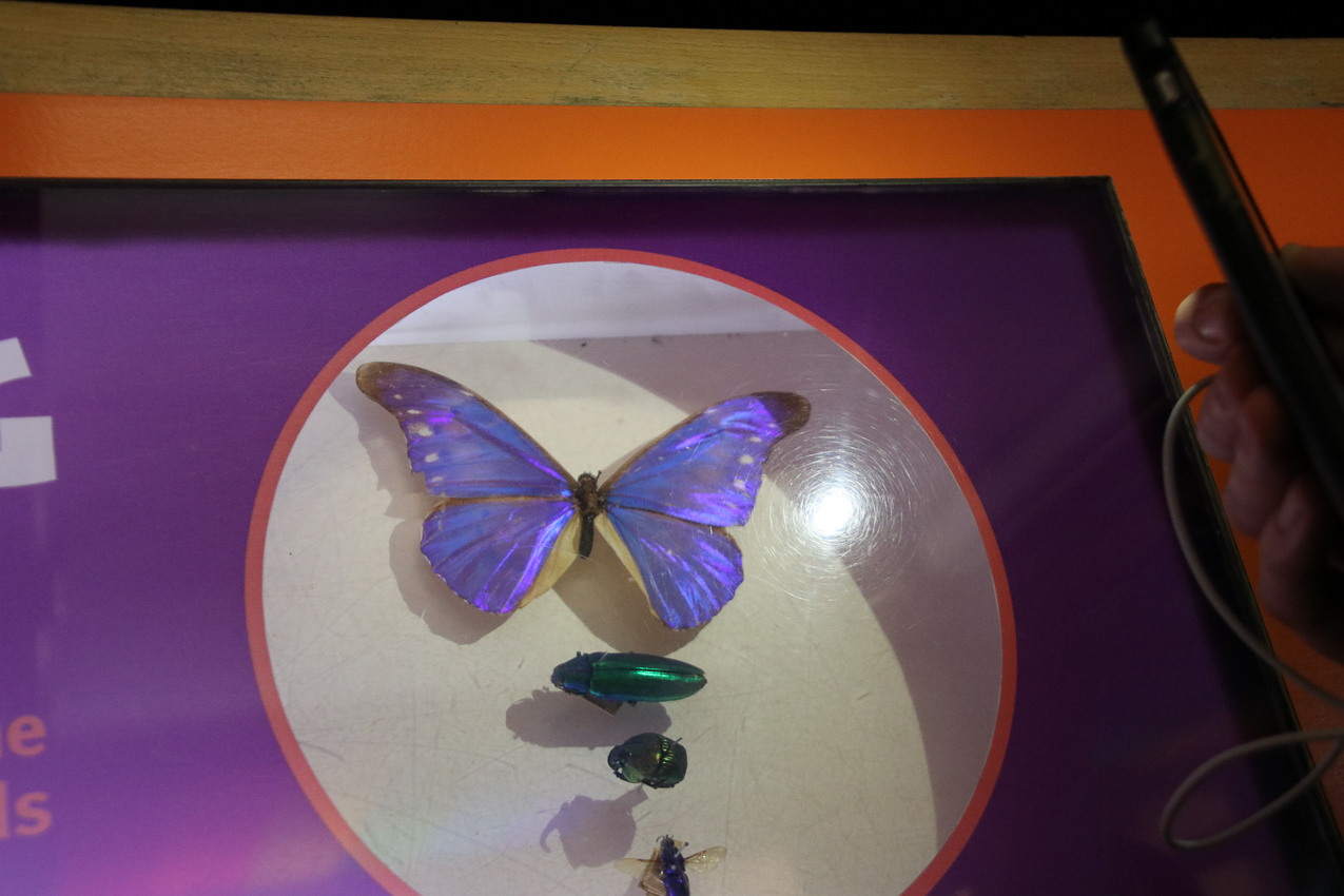   ~~  2020 Trip to London England, Stonehenge, Bath, Windsor, and Mary at Arcadia Univeristy Abroad