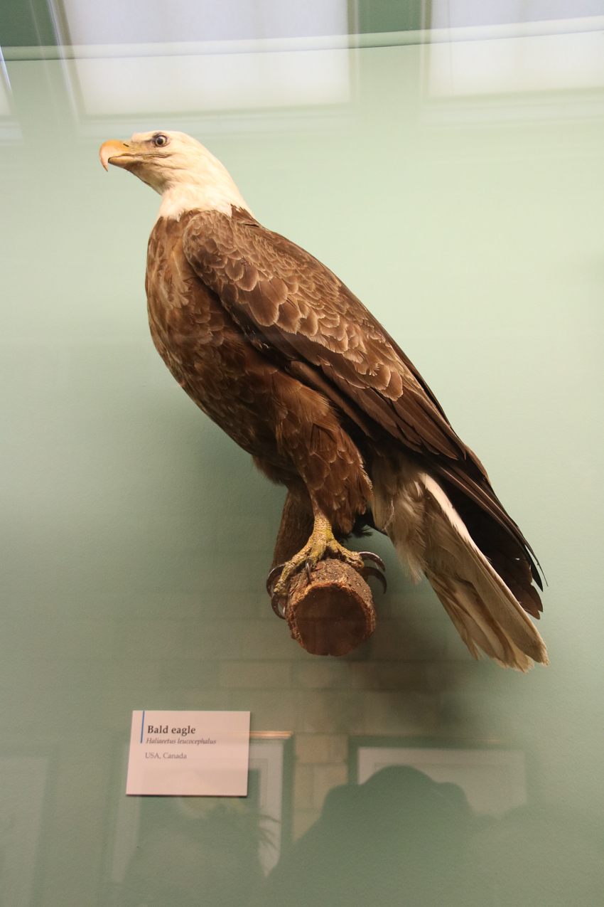   ~~  2020 Trip to London England, Stonehenge, Bath, Windsor, and Mary at Arcadia Univeristy Abroad