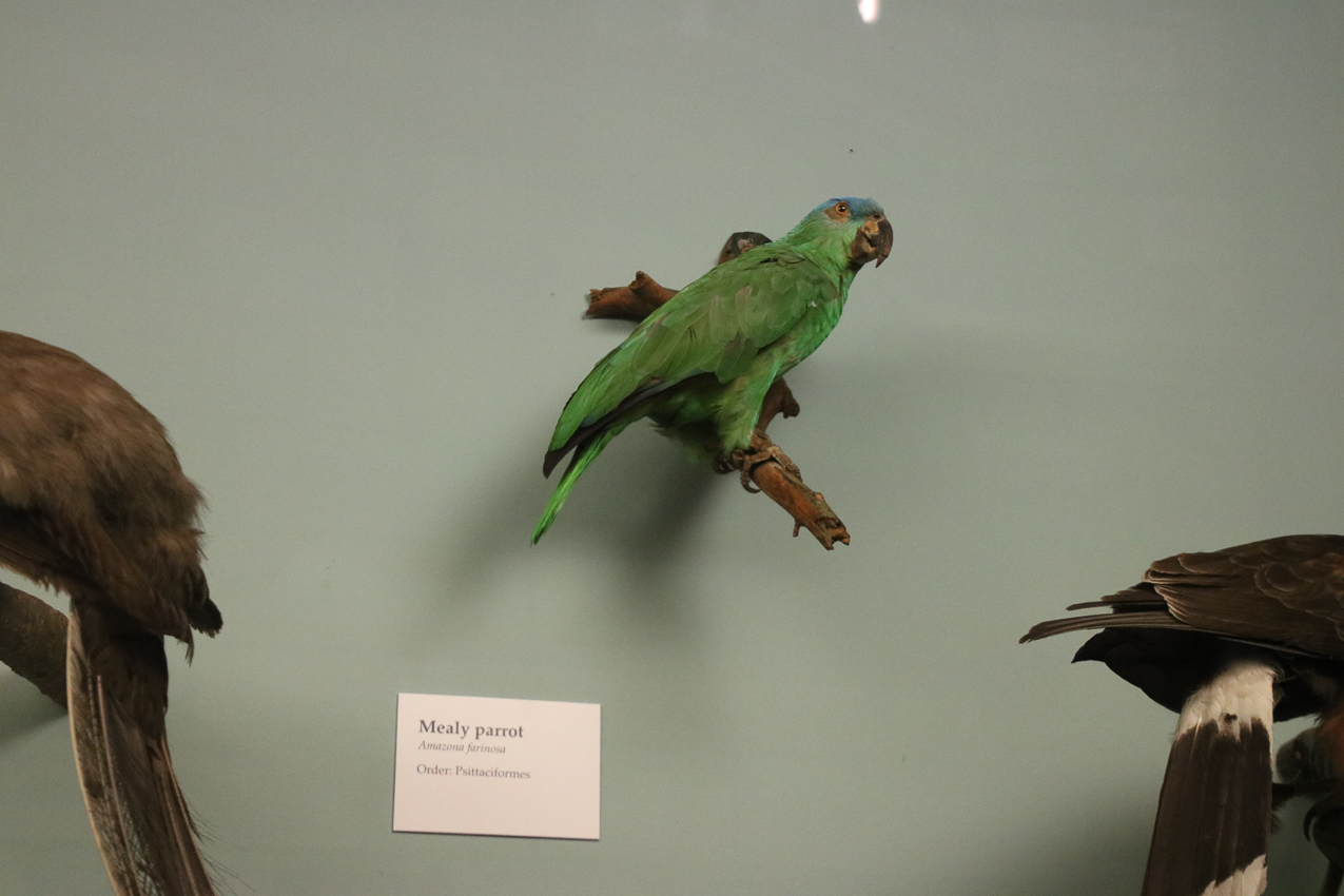   ~~  2020 Trip to London England, Stonehenge, Bath, Windsor, and Mary at Arcadia Univeristy Abroad