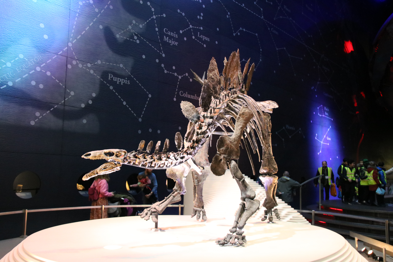   ~~  2020 Trip to London England, Stonehenge, Bath, Windsor, and Mary at Arcadia Univeristy Abroad