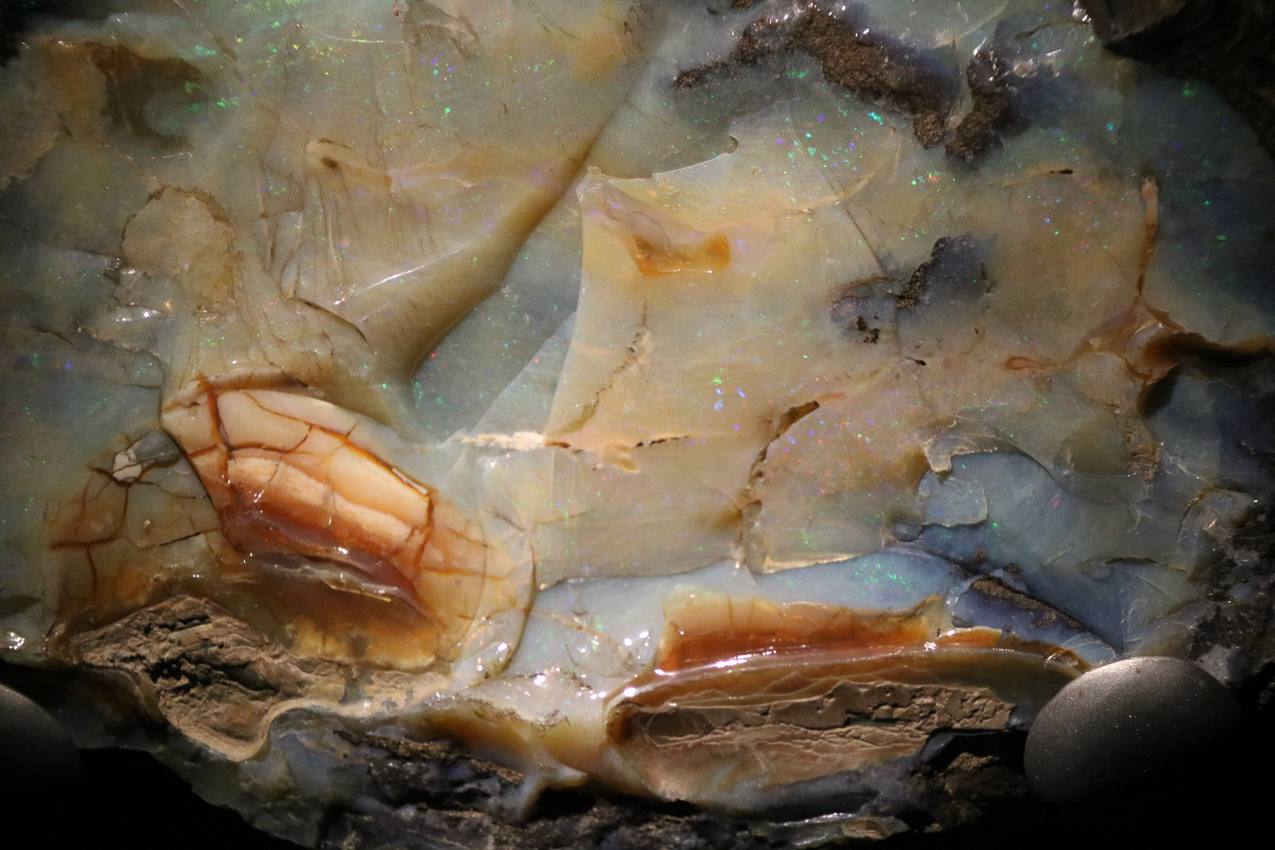   ~~  2020 Trip to London England, Stonehenge, Bath, Windsor, and Mary at Arcadia Univeristy Abroad