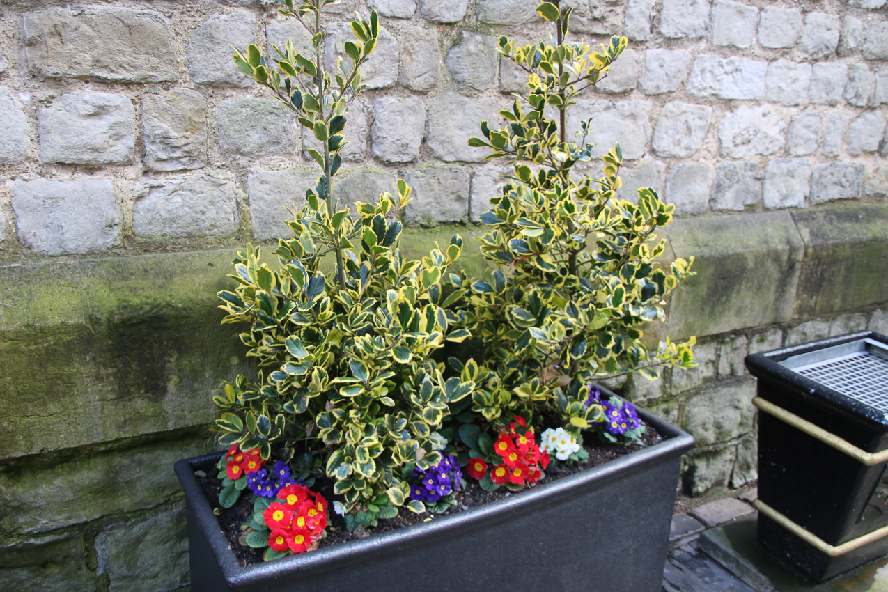   ~~  2020 Trip to London England, Stonehenge, Bath, Windsor, and Mary at Arcadia Univeristy Abroad