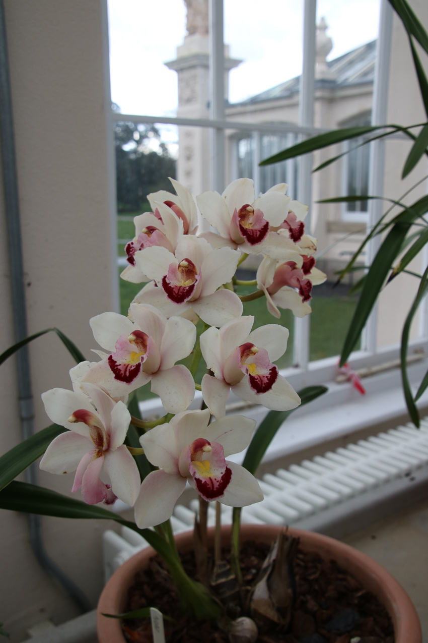   ~~  2020 Trip to London England, Stonehenge, Bath, Windsor, and Mary at Arcadia Univeristy Abroad