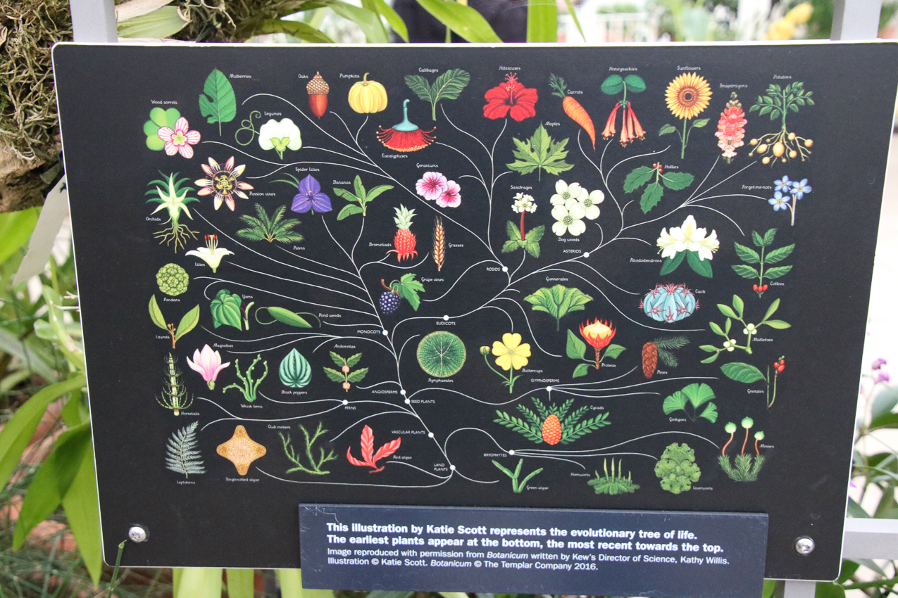   ~~  2020 Trip to London England, Stonehenge, Bath, Windsor, and Mary at Arcadia Univeristy Abroad