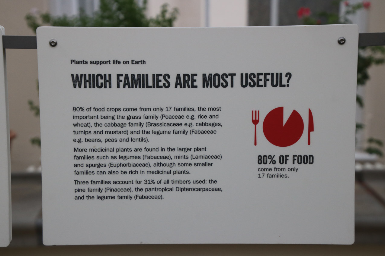   ~~  2020 Trip to London England, Stonehenge, Bath, Windsor, and Mary at Arcadia Univeristy Abroad