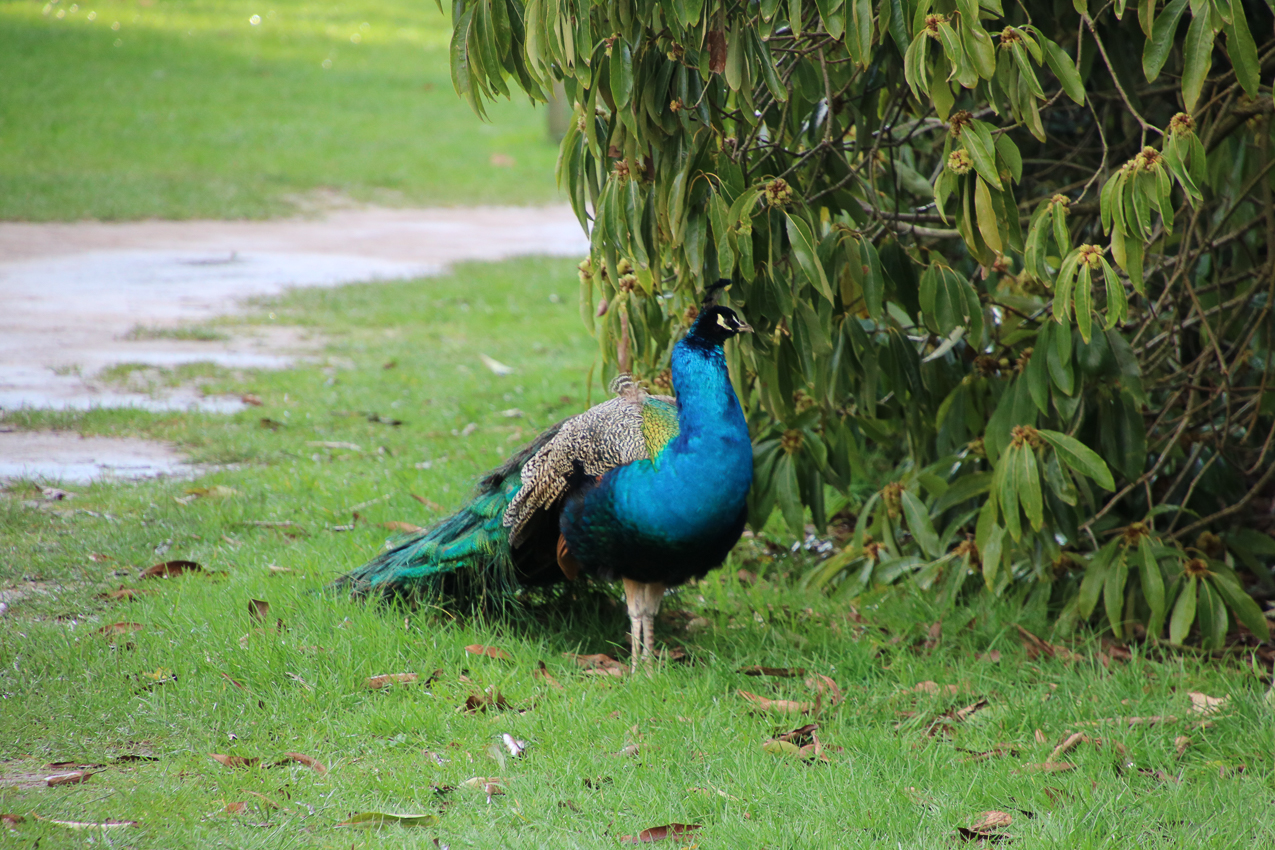   ~~  2020 Trip to London England, Stonehenge, Bath, Windsor, and Mary at Arcadia Univeristy Abroad