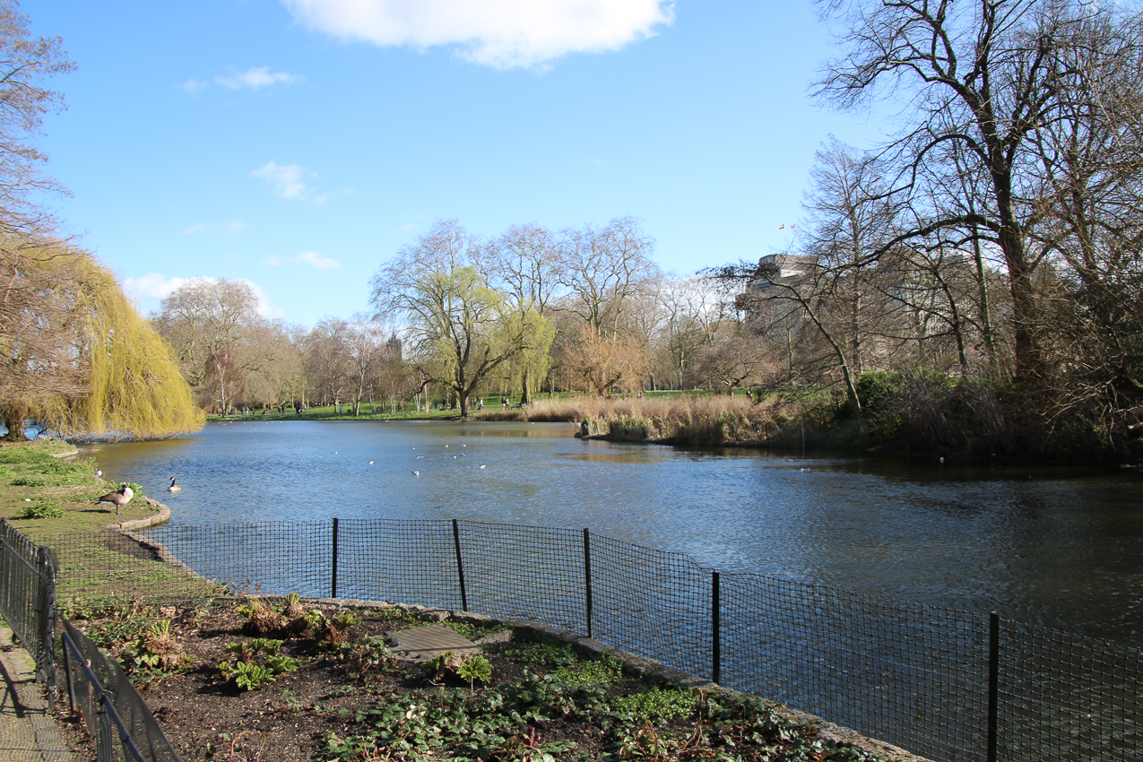   ~~  2020 Trip to London England, Stonehenge, Bath, Windsor, and Mary at Arcadia Univeristy Abroad