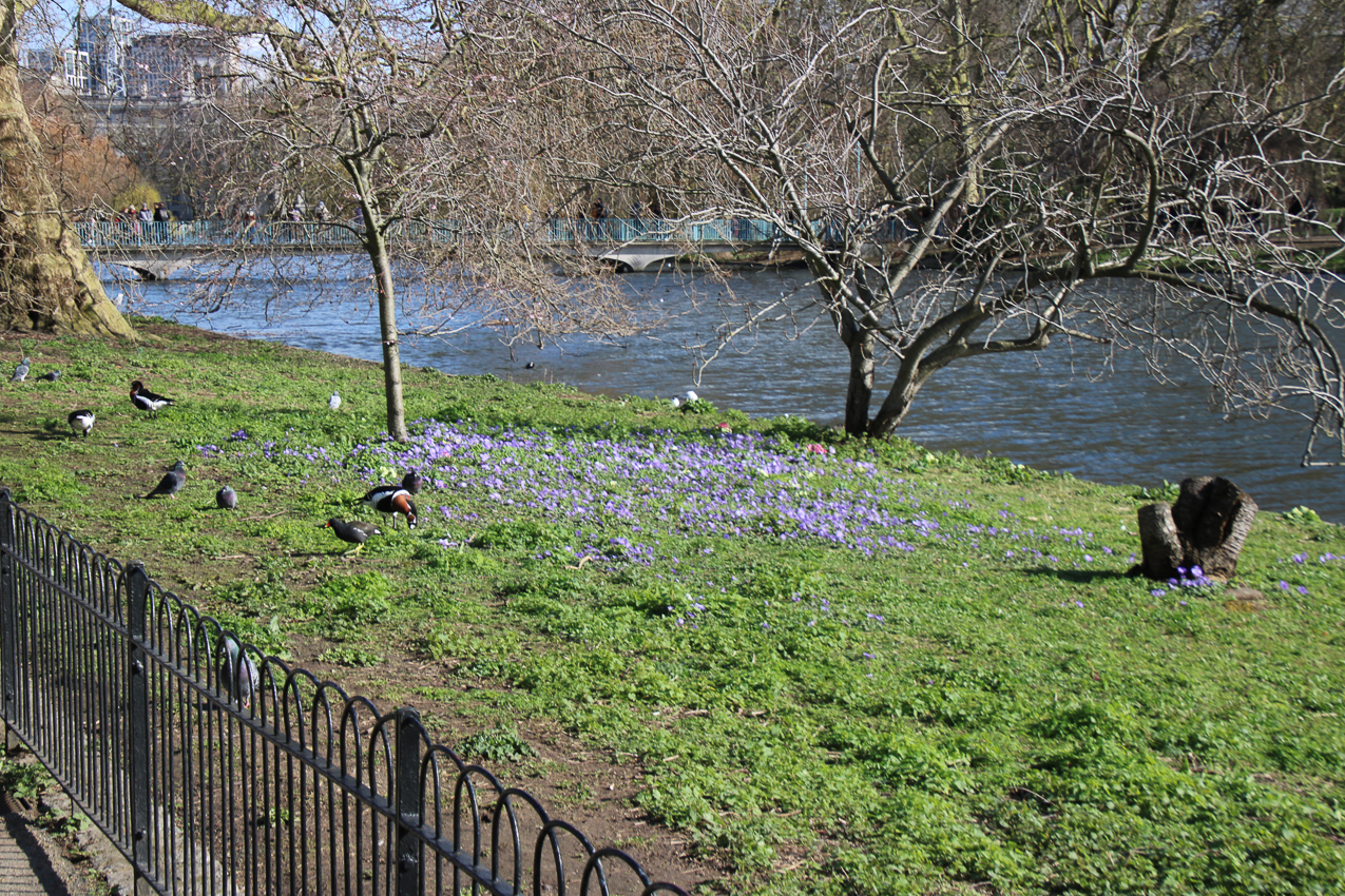   ~~  2020 Trip to London England, Stonehenge, Bath, Windsor, and Mary at Arcadia Univeristy Abroad