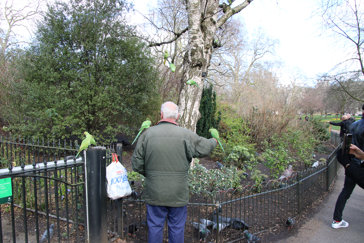   ~~  2020 Trip to London England, Stonehenge, Bath, Windsor, and Mary at Arcadia Univeristy Abroad