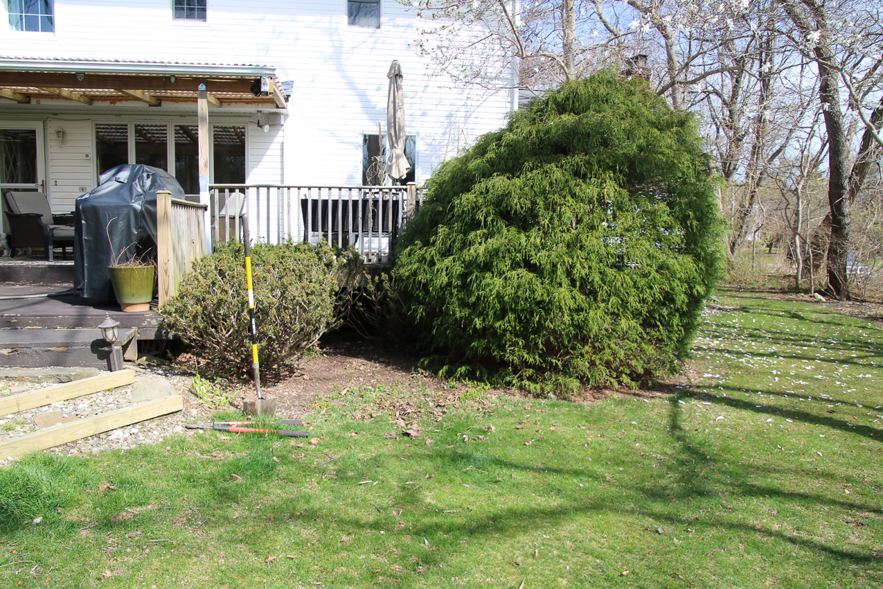 Garden Project and barn water supply project.  ~~  a two-fer.