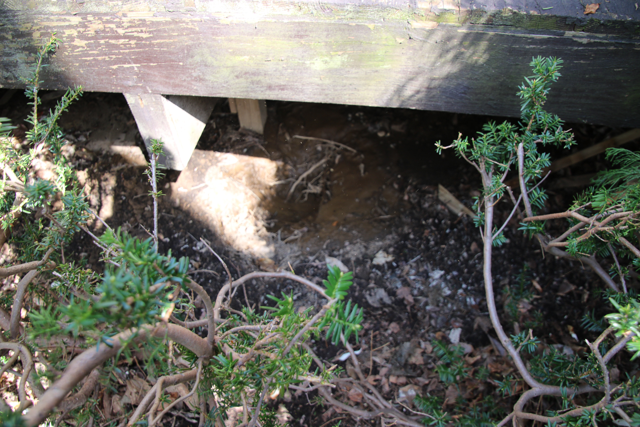 Garden Project and barn water supply project.  ~~  a two-fer.