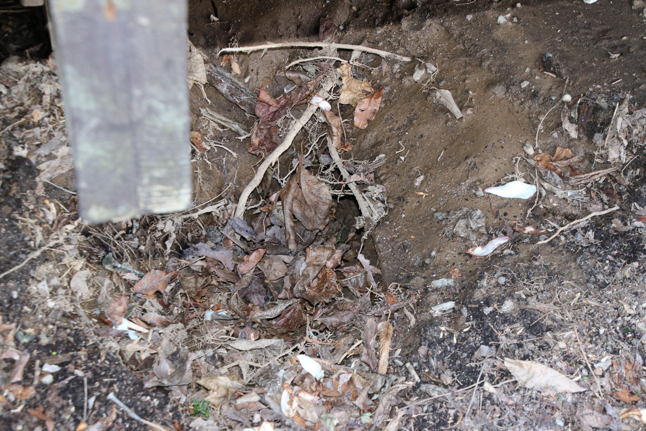 Garden Project and barn water supply project.  ~~  