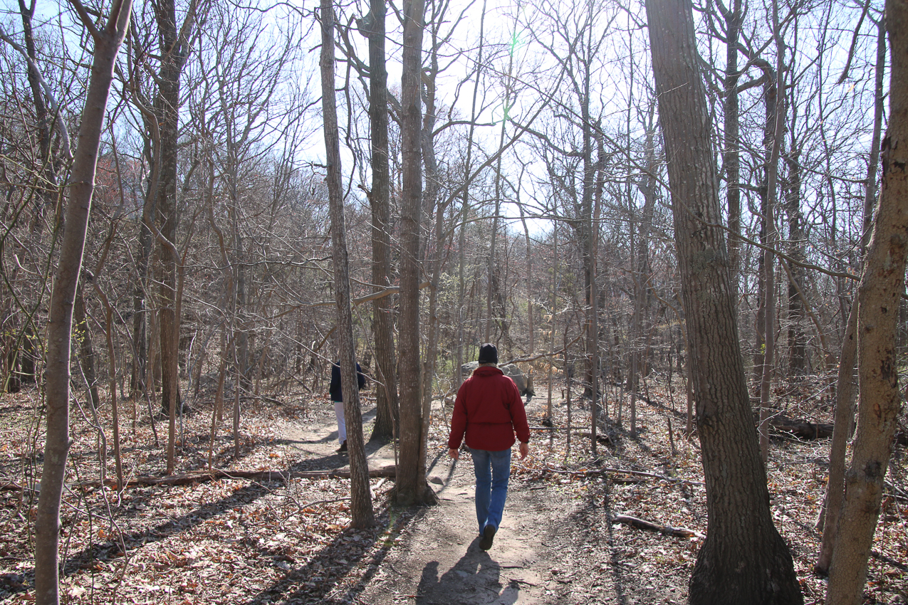 Saturday walk in the woods GF and Easter weekend  ~~  