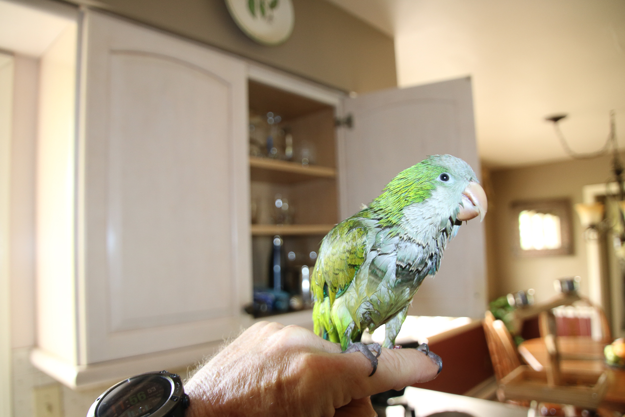 Captain  ~~  HE'S SOAKED!!!!!!