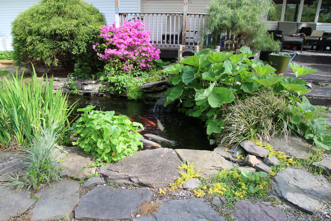 Got the shack add dressed up  ~~  The lynch Shack Spring 2020 COVID