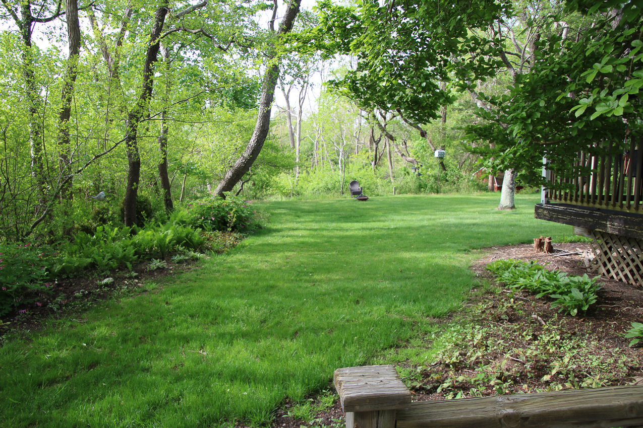 Got the shack add dressed up  ~~  The lynch Shack Spring 2020 COVID