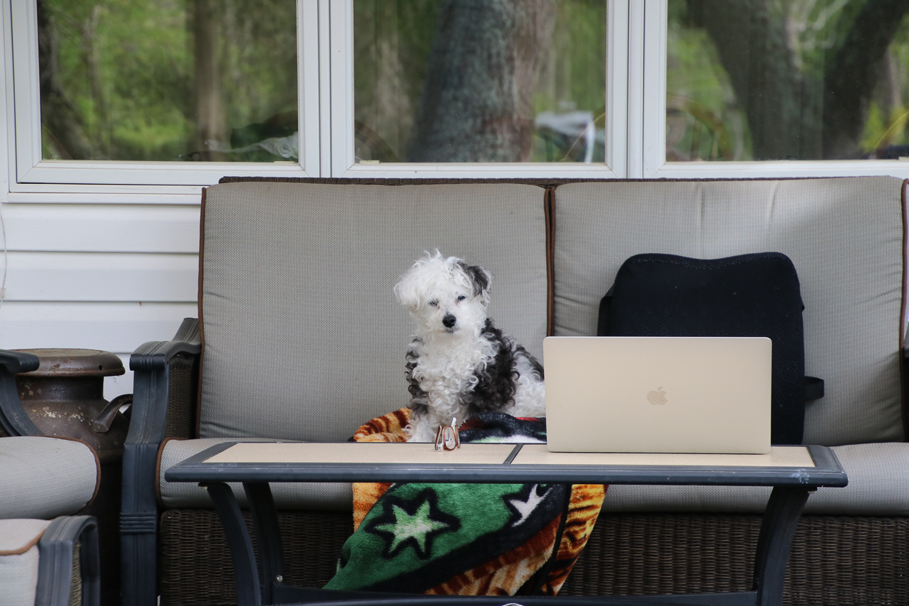 Got the shack add dressed up  ~~  The lynch Shack Spring 2020 COVID