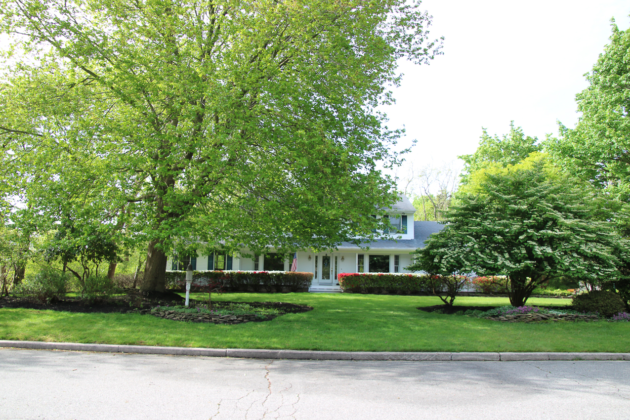 Got the shack add dressed up  ~~  The lynch Shack Spring 2020 COVID