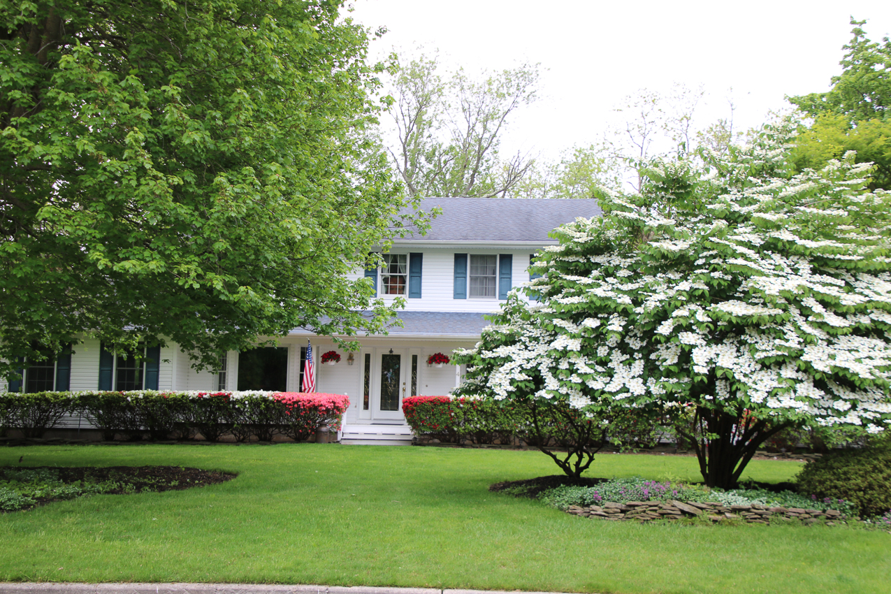 Mulch Project Done....  ~~  