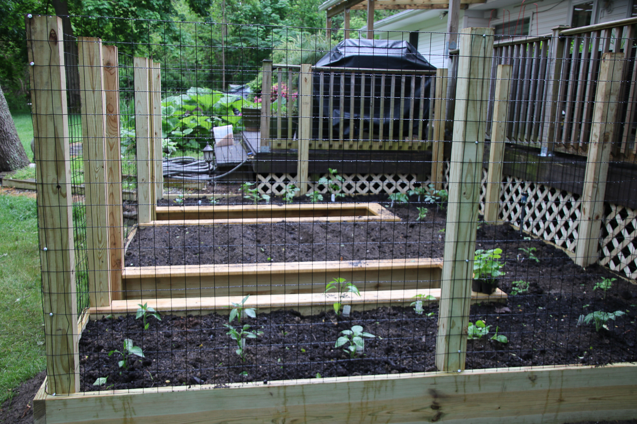 Raised Garden Project 1,230 COVID lockdown  ~~  DONE