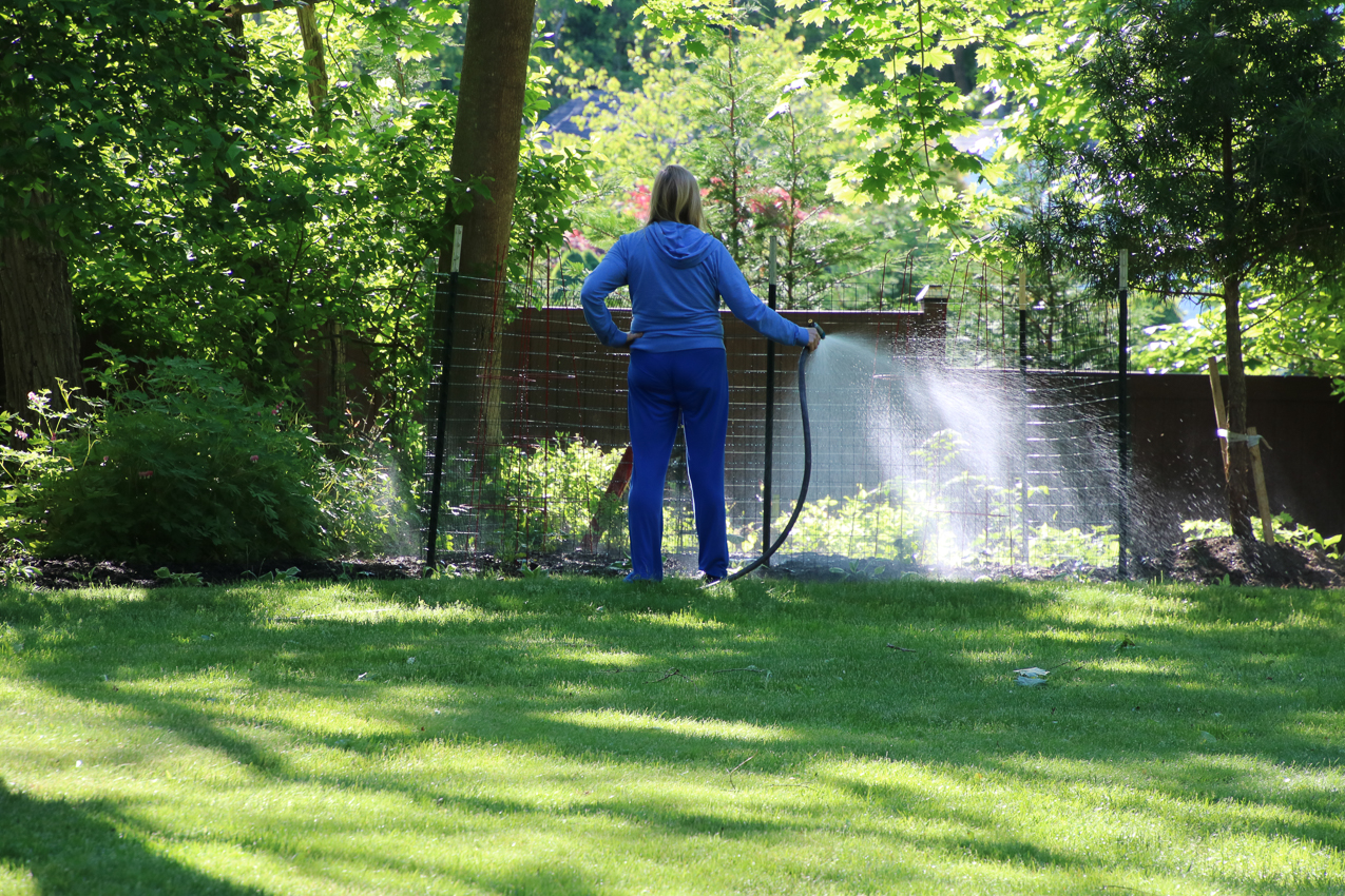 Raised Garden Project 1,230 COVID lockdown  ~~  Gravel and extra garden and lots of deer countermeasures.