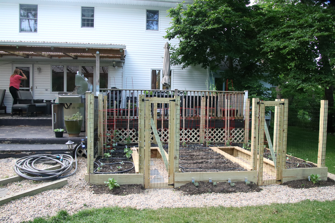 Raised Garden Project 1,230 COVID lockdown  ~~  Raised Garden project. and front walk before