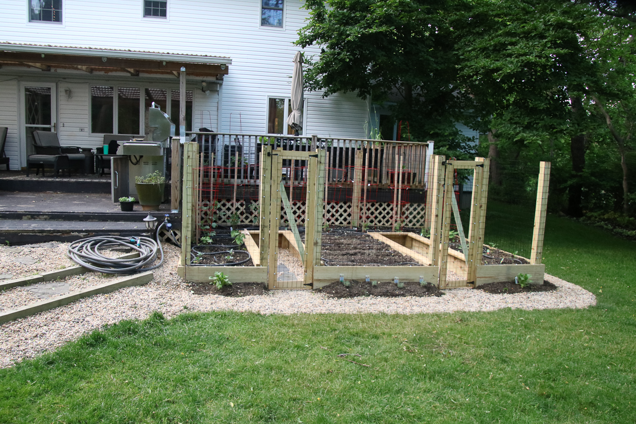 Raised Garden Project 1,230 COVID lockdown  ~~  Raised Garden project. and front walk before