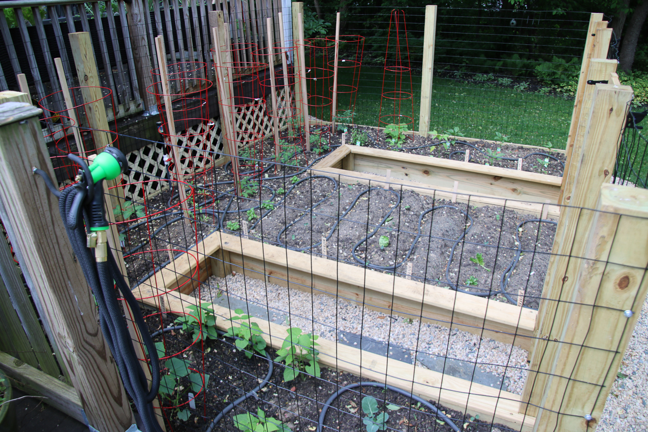 Raised Garden Project 1,230 COVID lockdown  ~~  Gravel and extra garden and lots of deer countermeasures.