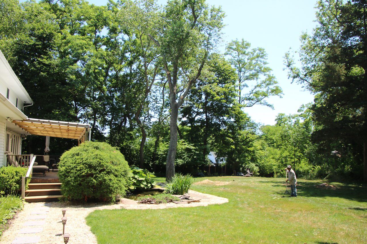 Suffolk Tree Works to the Rescue  ~~  whacked two trees and trimmed a very tall one over the house