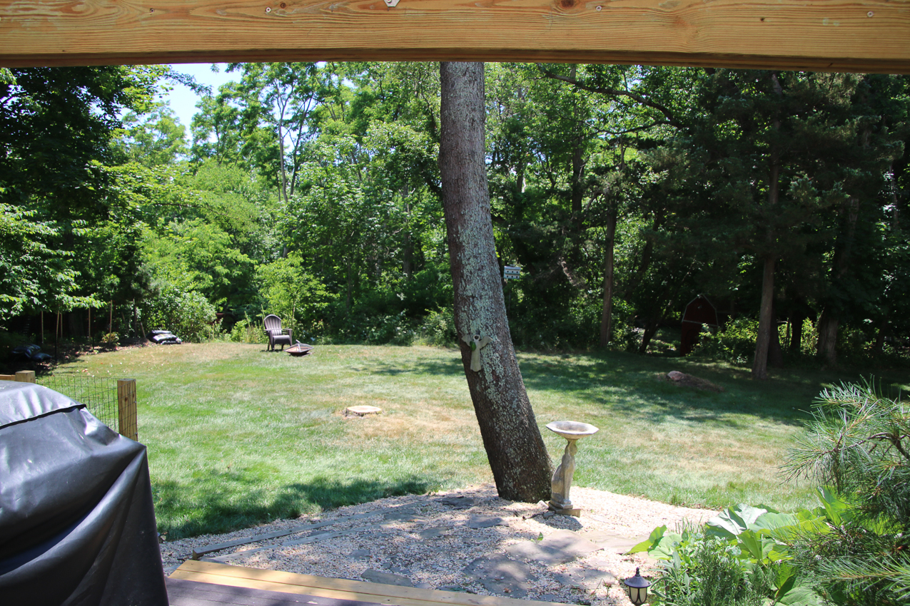 Suffolk Tree Works to the Rescue  ~~  whacked two trees and trimmed a very tall one over the house