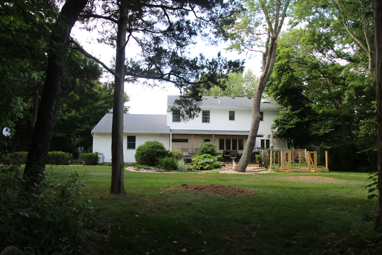 Suffolk Tree Works to the Rescue  ~~  Stump attack to finish the job.