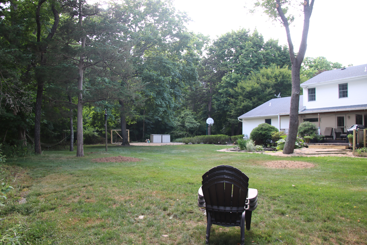 Suffolk Tree Works to the Rescue  ~~  Stump attack to finish the job.
