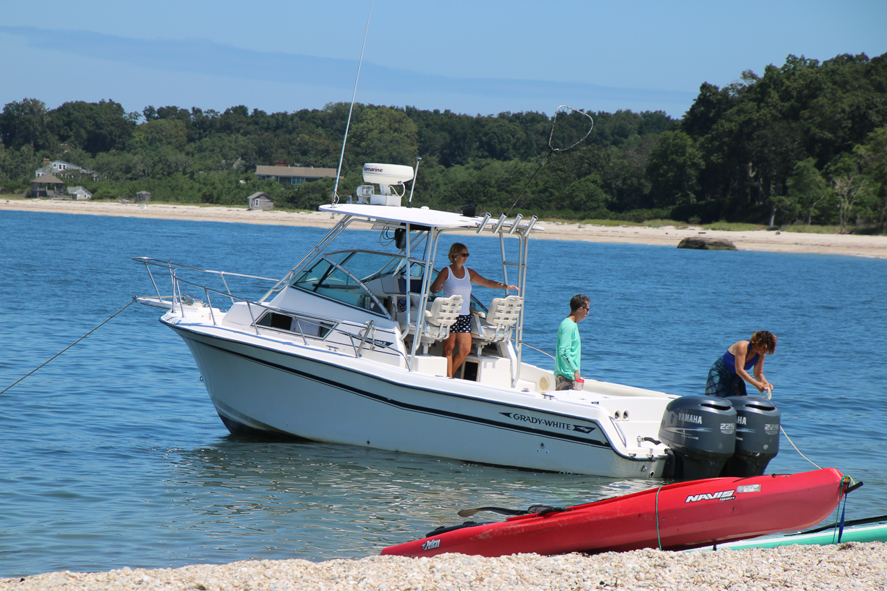 A day at the 2020 MSSA Flax Pond Event   ~~  