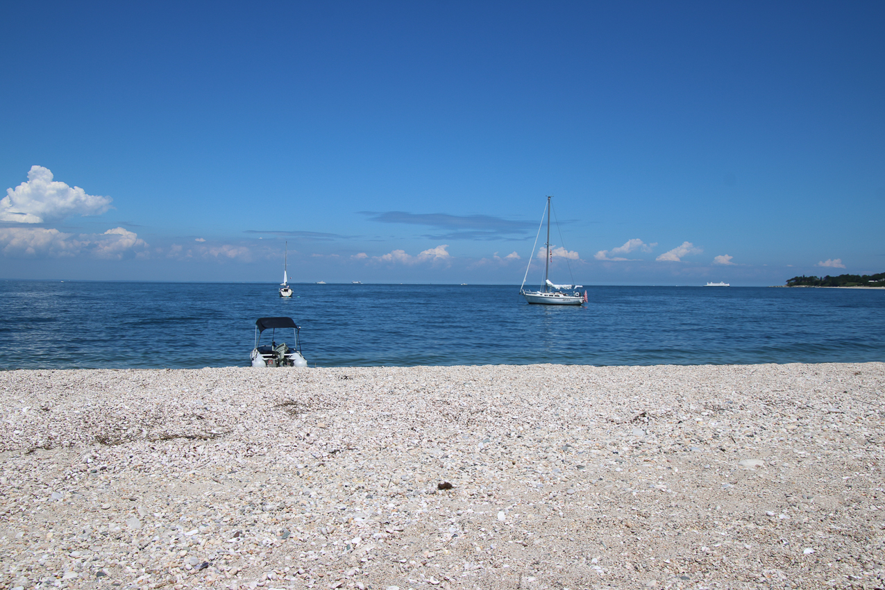 A day at the 2020 MSSA Flax Pond Event   ~~  