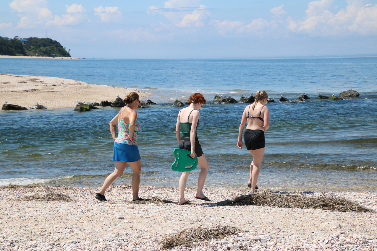 A day at the 2020 MSSA Flax Pond Event   ~~  