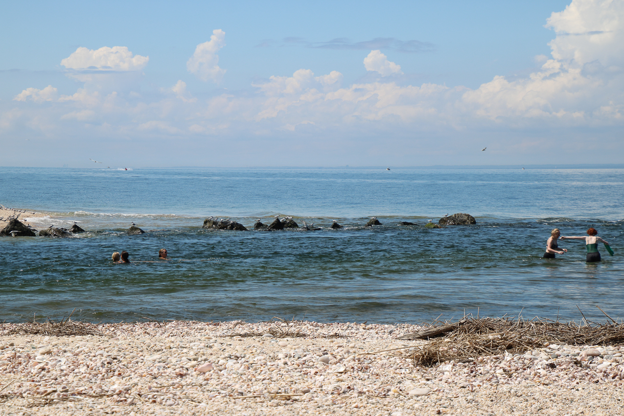 A day at the 2020 MSSA Flax Pond Event   ~~  