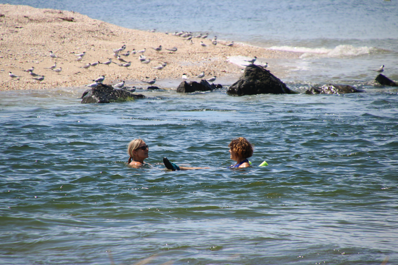 A day at the 2020 MSSA Flax Pond Event   ~~  