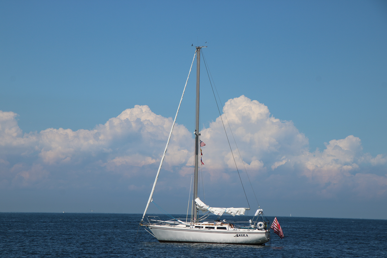 A day at the 2020 MSSA Flax Pond Event   ~~  