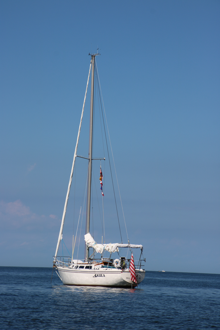 A day at the 2020 MSSA Flax Pond Event   ~~  