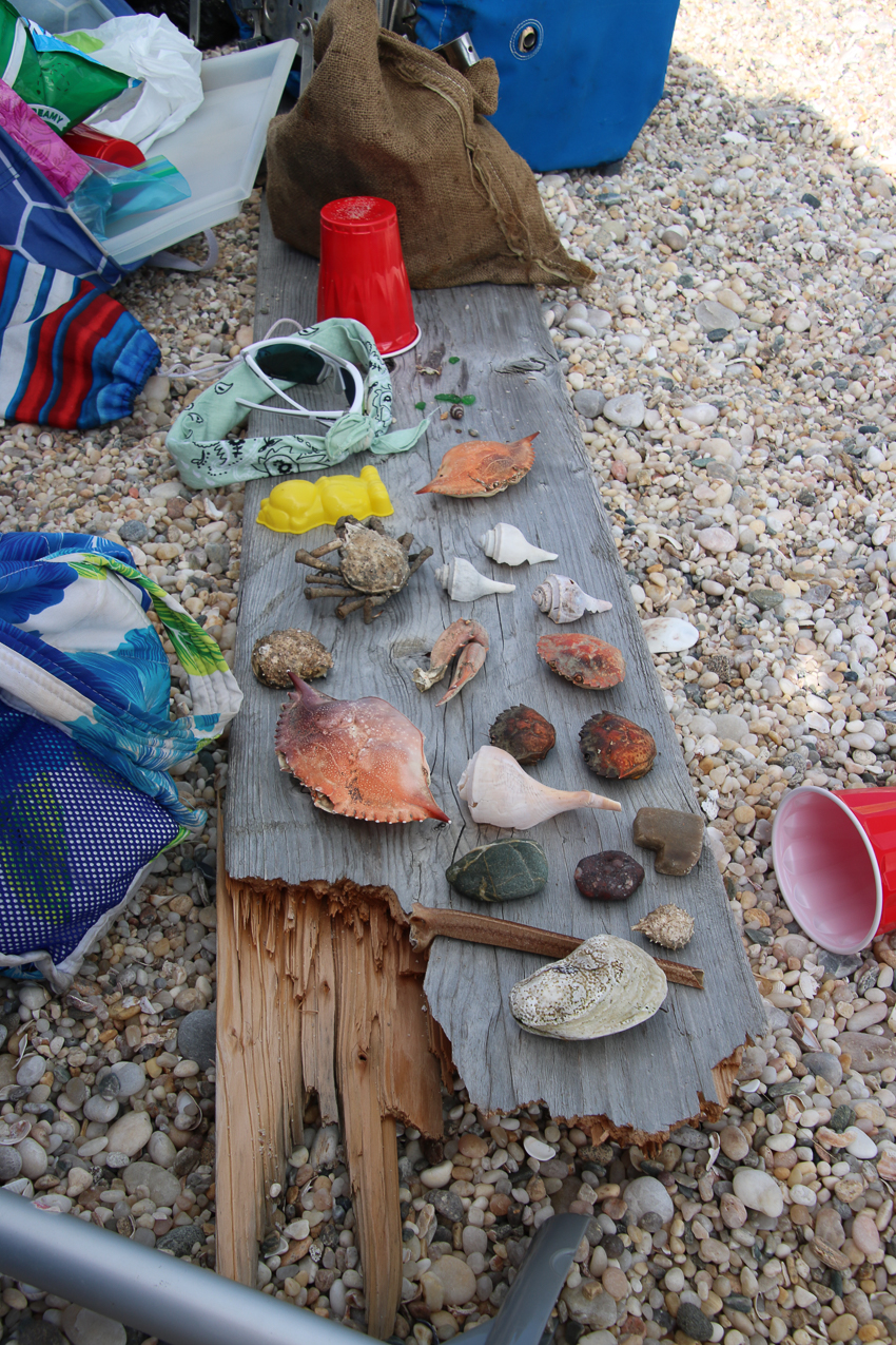 A day at the 2020 MSSA Flax Pond Event   ~~  